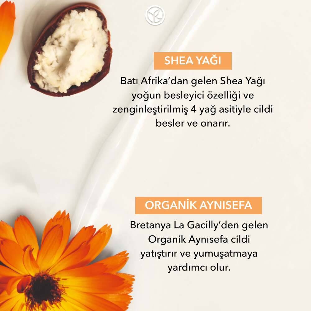 Onarıcı ve Besleyici Vücut Yağı -Shea&Aynısefa