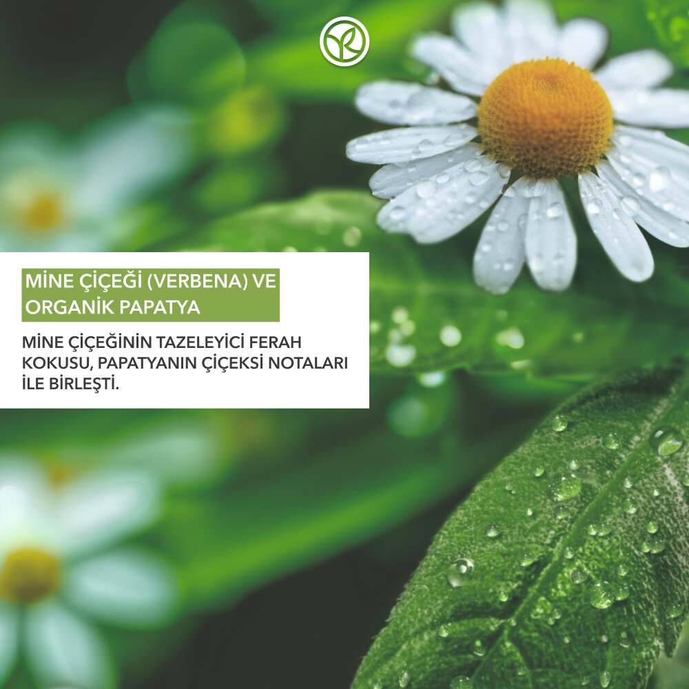 El Kremi- Nemlendirici Besleyici Tazeleyici Mine Çiçeği Papatya-Vegan