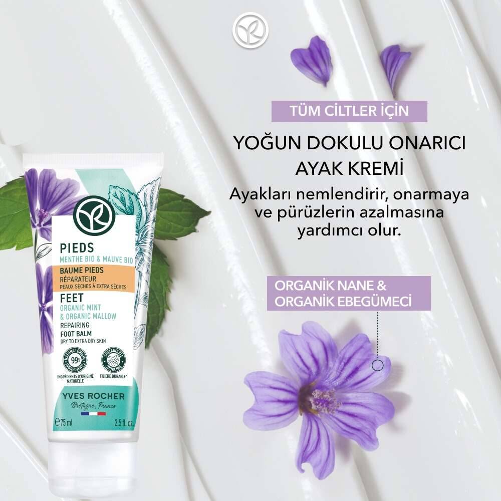 Yoğun Dokulu Ayak Bakım Kremi- Ebegümeci&Nane&Shea