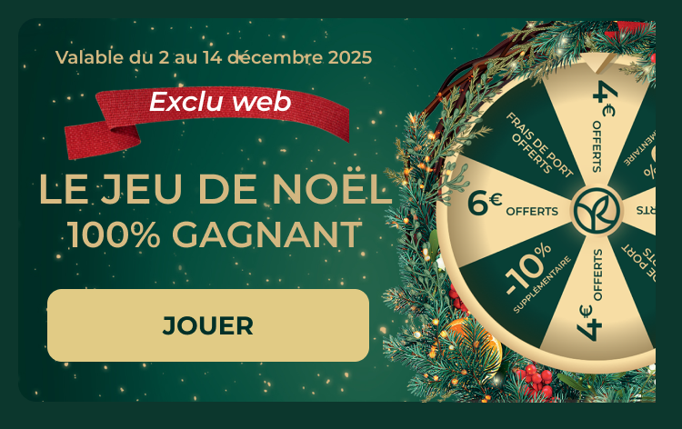 Jeu de Noël