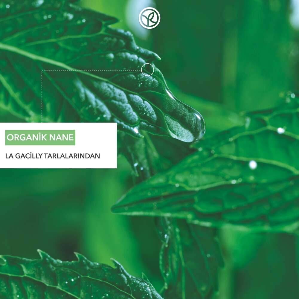 Arındırıcı Katı Şampuan - Yağlı Saçlar - SLS,SLES içermez,Tuzsuz, Vegan