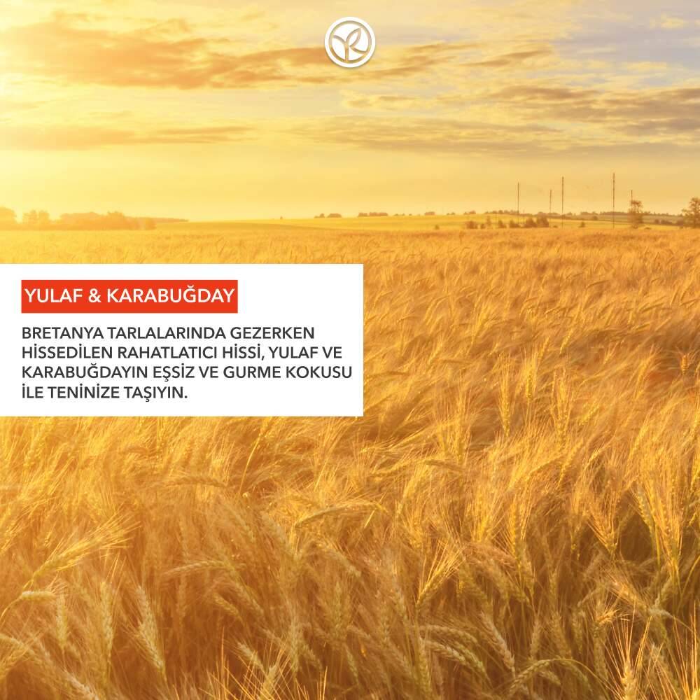 Katı Sabun - Rahatlatıcı Yulaf & Karabuğday -SLS,SLES İçermez-Vegan
