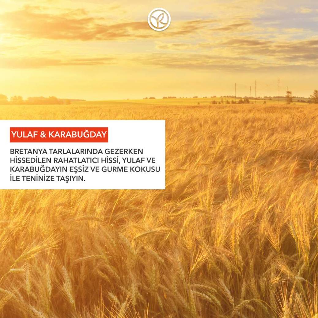 Katı Sabun - Rahatlatıcı Yulaf & Karabuğday -SLS,SLES İçermez-Vegan
