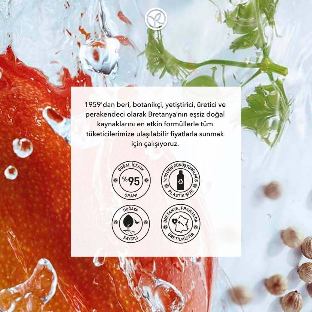 Duş Jeli - Nemlendirici Canlandırıcı Mango Kişniş-SLS,SLES İçermez-Vegan