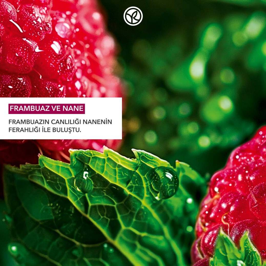 El Kremi- Nemlendirici Besleyici Enerjik Frambuaz Nane - Vegan