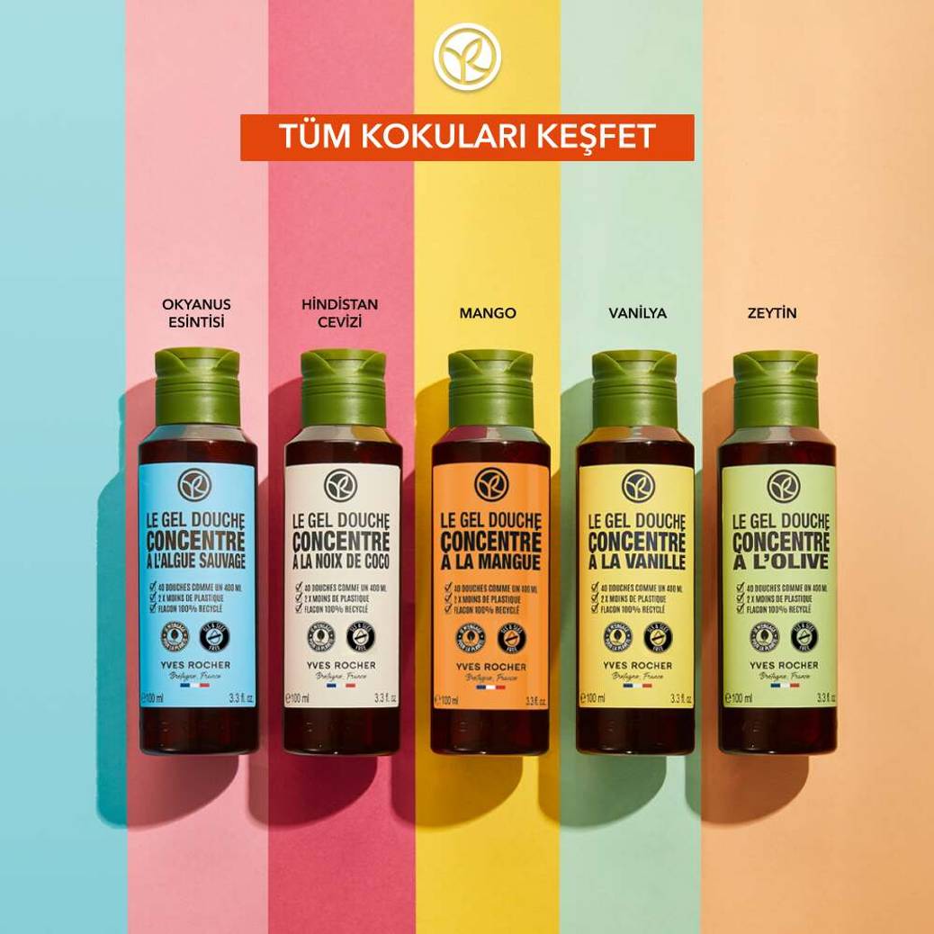 Konsantre Duş Jeli - Nemlendirici Canlandırıcı Mango & Kişniş-SLS,SLES İçermez-Vegan