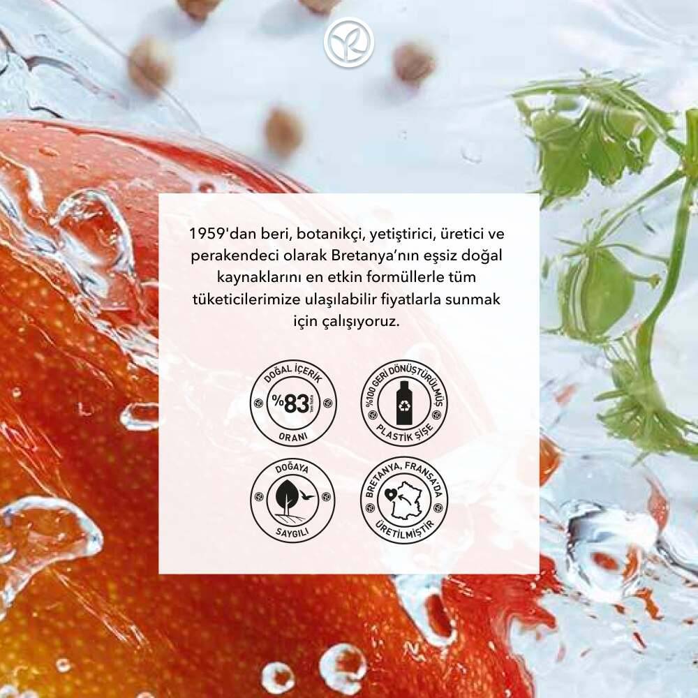 Konsantre Duş Jeli - Nemlendirici Canlandırıcı Mango & Kişniş-SLS,SLES İçermez-Vegan