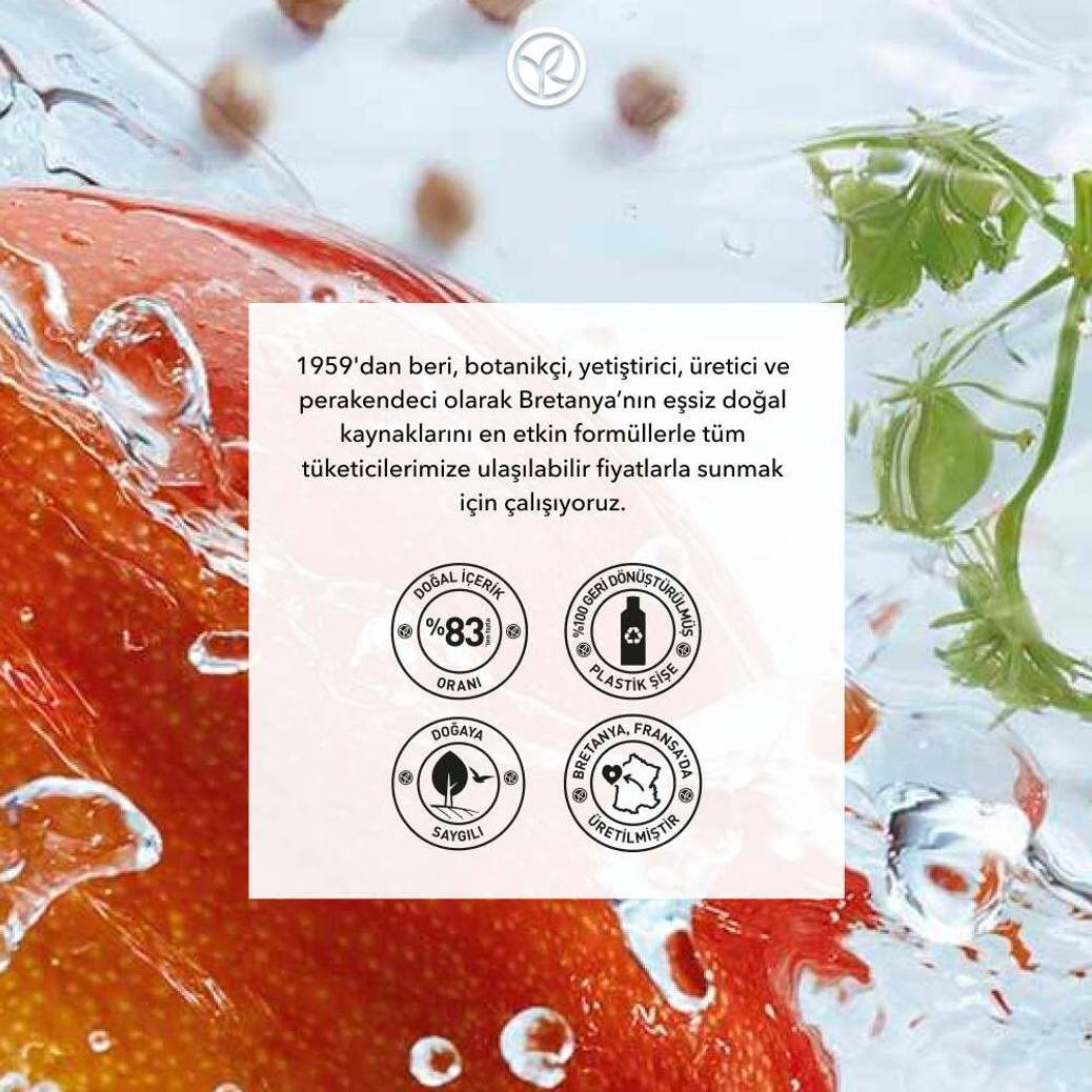 Konsantre Duş Jeli - Nemlendirici Canlandırıcı Mango & Kişniş-SLS,SLES İçermez-Vegan