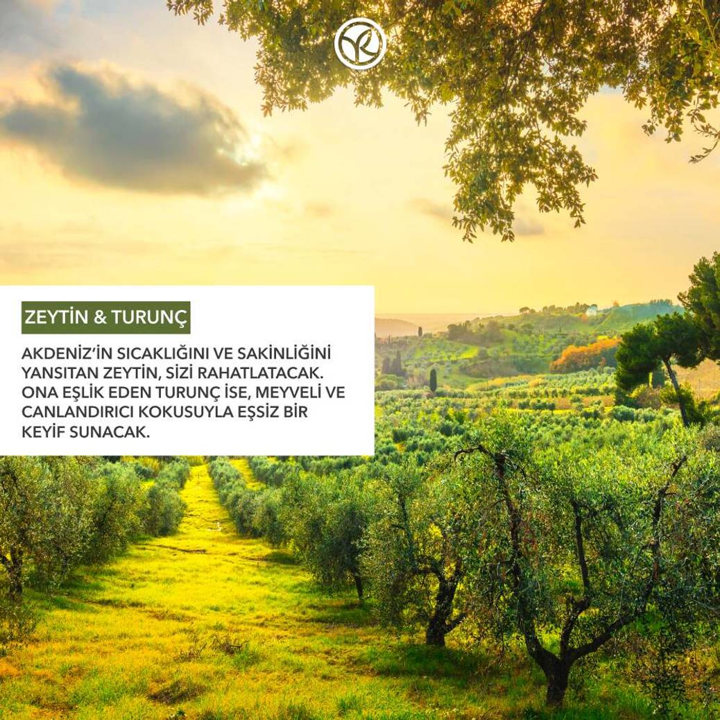 Katı Sabun - Ferahlatıcı Zeytin Turunç -SLS,SLES İçermez-Vegan