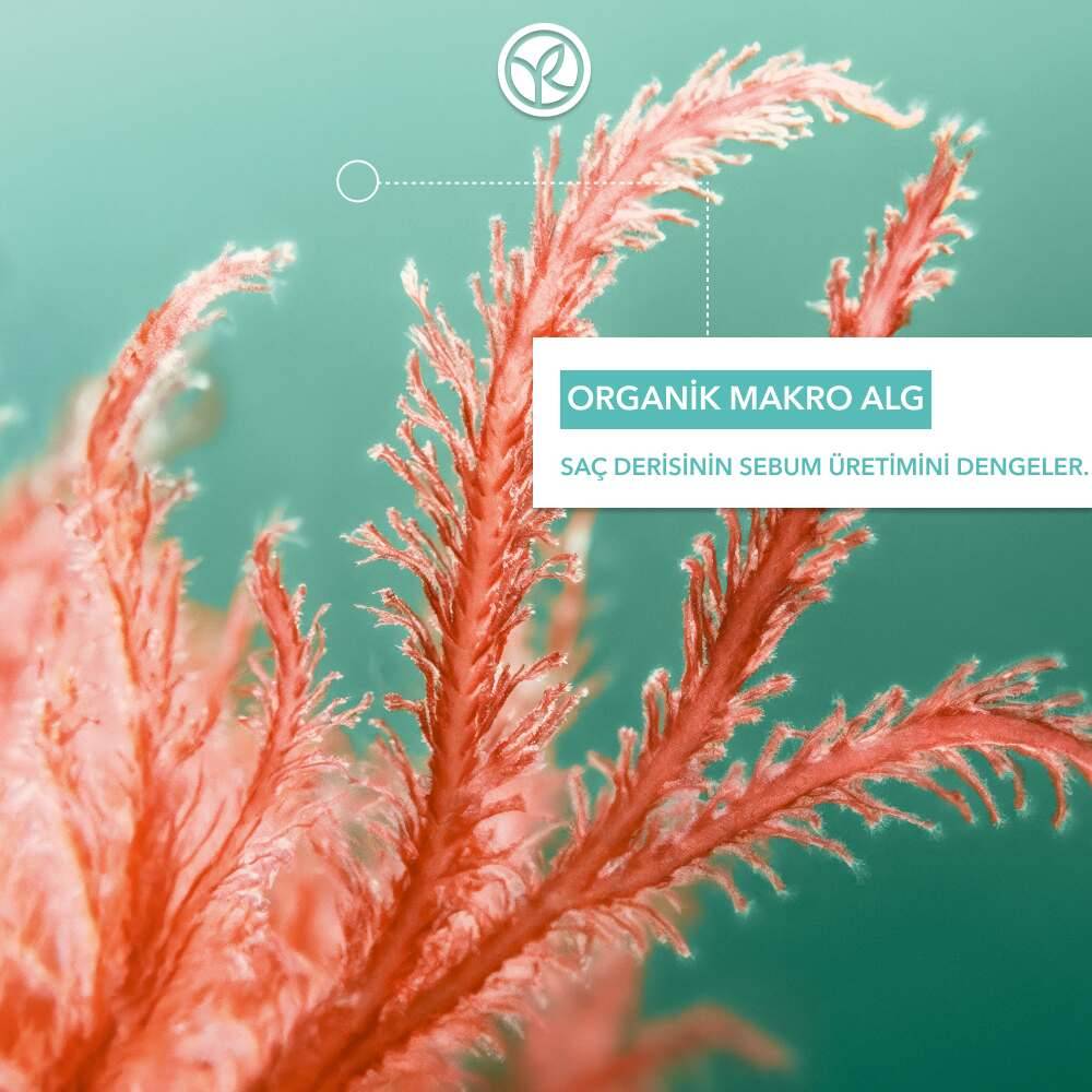 Arındırıcı Saç Kremi - Yağlı Saçlar -Vegan