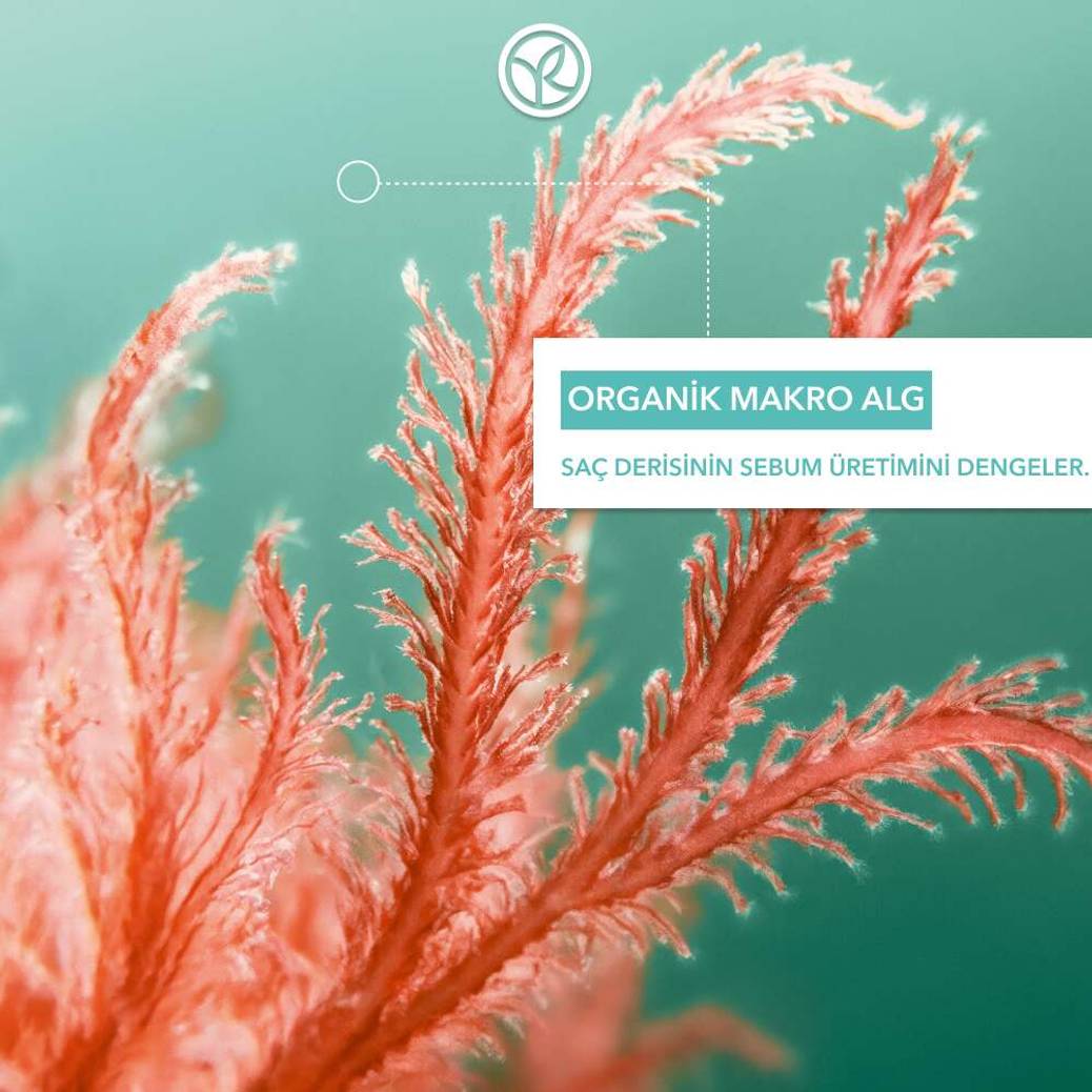 Arındırıcı Saç Kremi - Yağlı Saçlar -Vegan