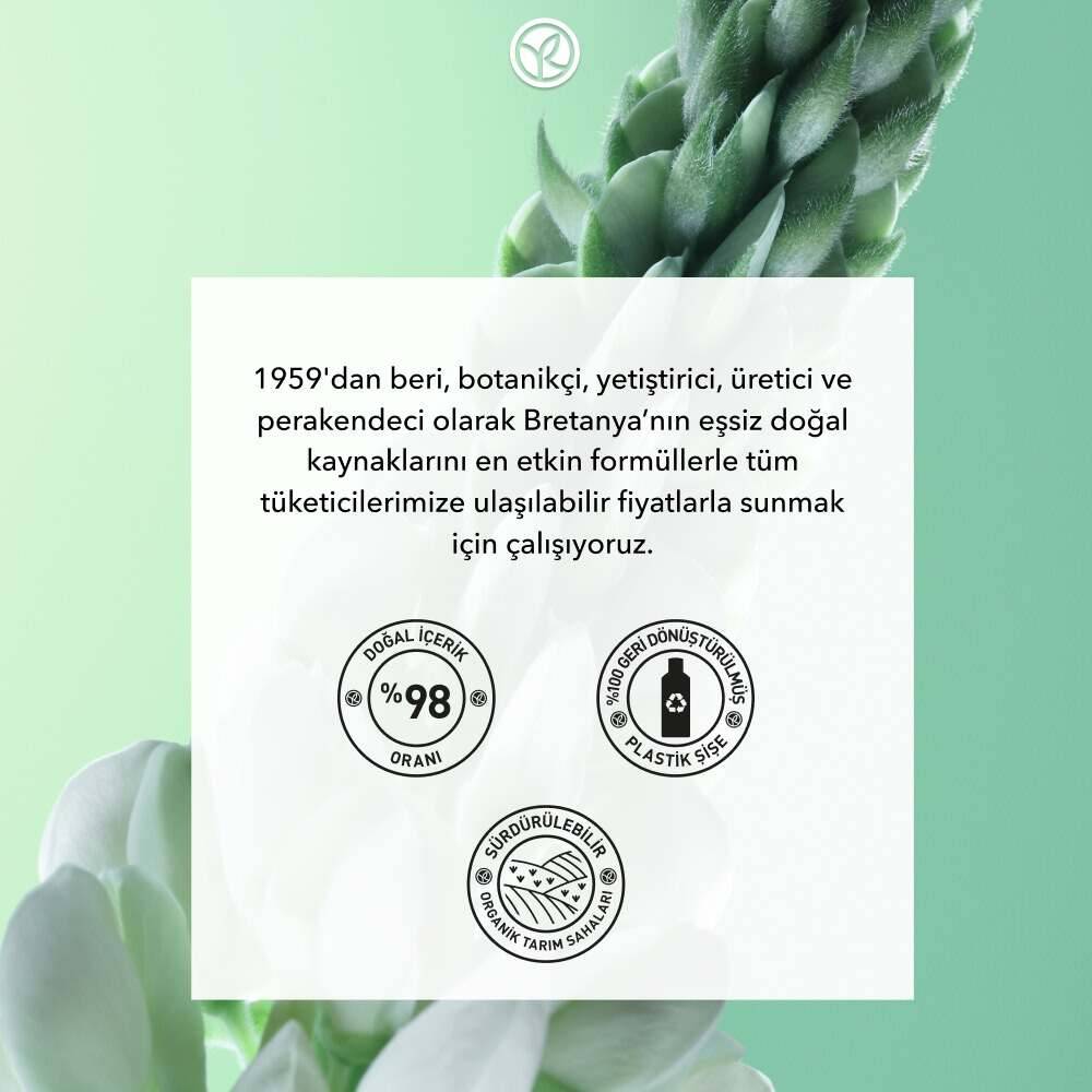 Güçlendirici Ginseng Serum - Saç Dökülmesine Karşı -Vegan