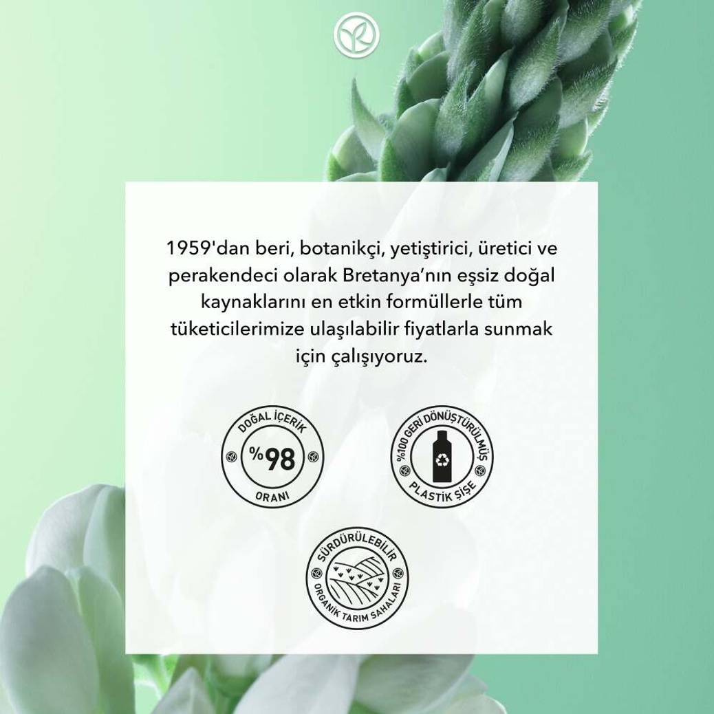 Güçlendirici Ginseng Serum - Saç Dökülmesine Karşı -Vegan