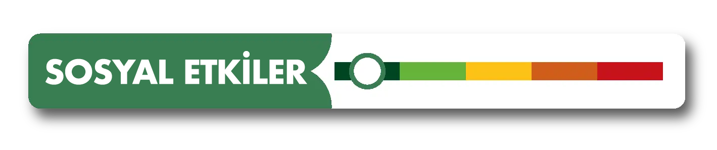 jauge vert fonce societal green impact index